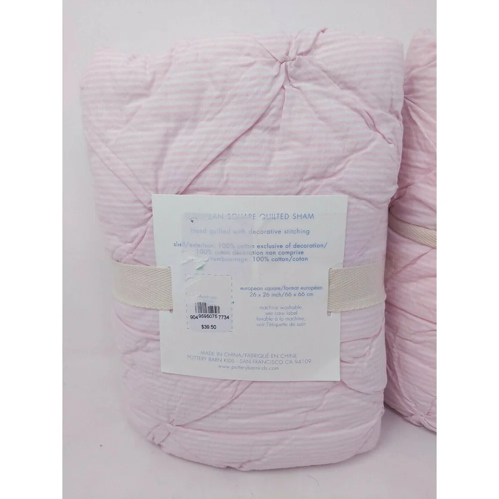 Pottery Barn Kids Brigette Ruffle Quilted Shams Pair 2‎ European Square 26